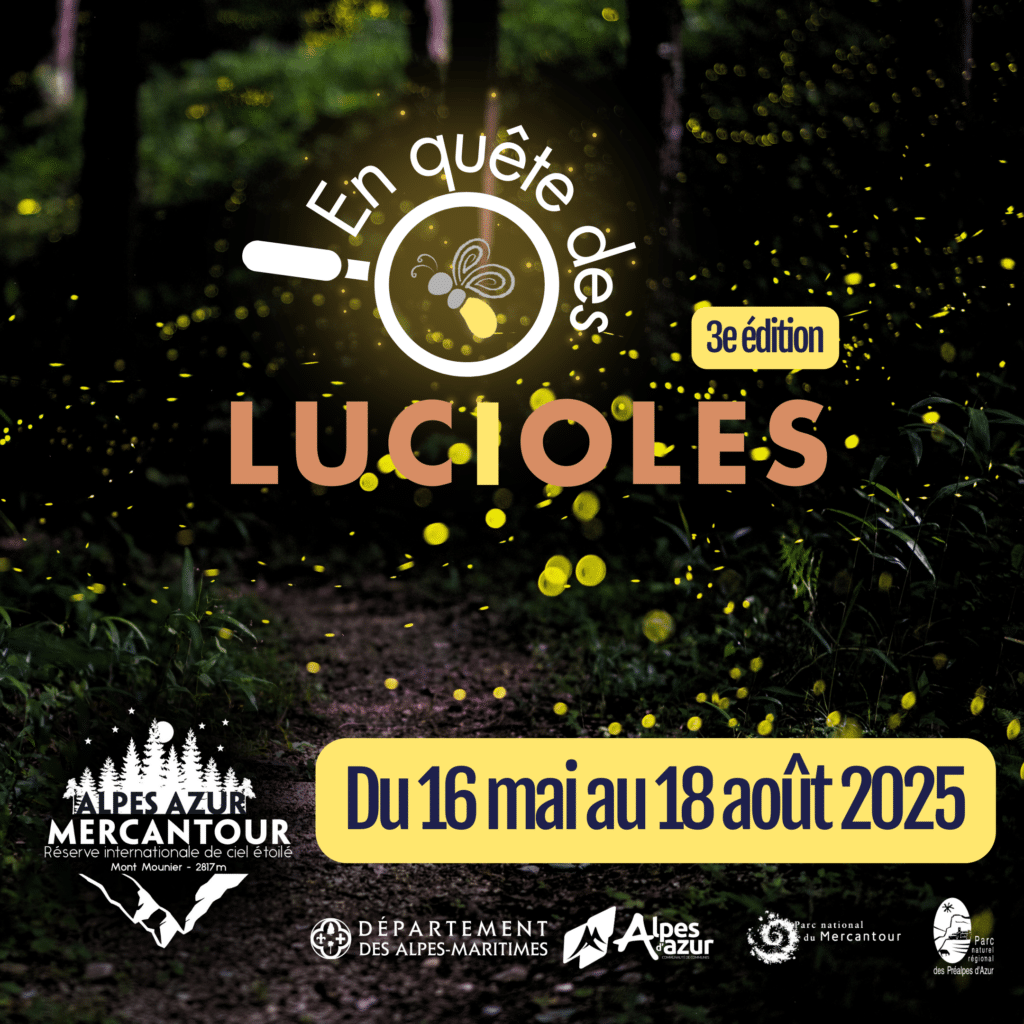 En quête des lucioles 3ème édition : Rendez vous dans la RICE Alpes Azur Mercantour Bleu Tomate