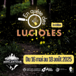 En quête des lucioles 3ème édition : Rendez vous dans la RICE Alpes Azur Mercantour Bleu Tomate