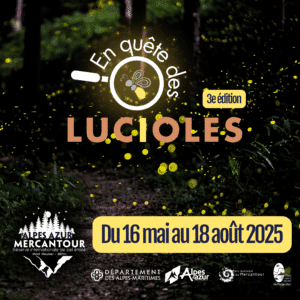 En quête des lucioles 3ème édition : Rendez vous dans la RICE Alpes Azur Mercantour Bleu Tomate