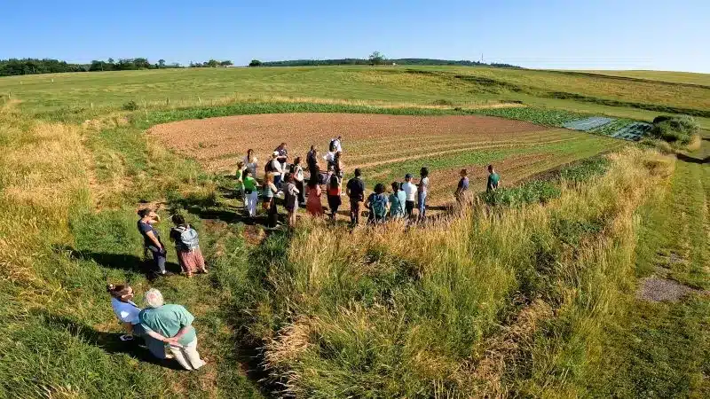 Fermes publiques : un réseau national pour cultiver l’avenir Bleu Tomate Fermes publiques : un réseau national pour cultiver l’avenir Bleu Tomate