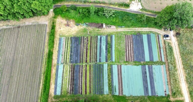 Plan aérien drone de la régie municipale de Carpentras