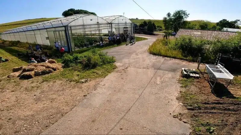Fermes publiques : un réseau national pour cultiver l’avenir Bleu Tomate image-de-ferme-publique-serre
