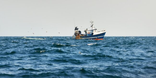 La pêche artisanale a du vague à l'âme Bleu Tomate La pêche artisanale a du vague à l'âme Bleu Tomate