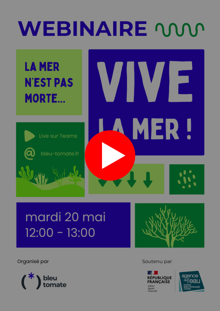 La mer n'est pas morte... Vive la mer ! Bleu Tomate