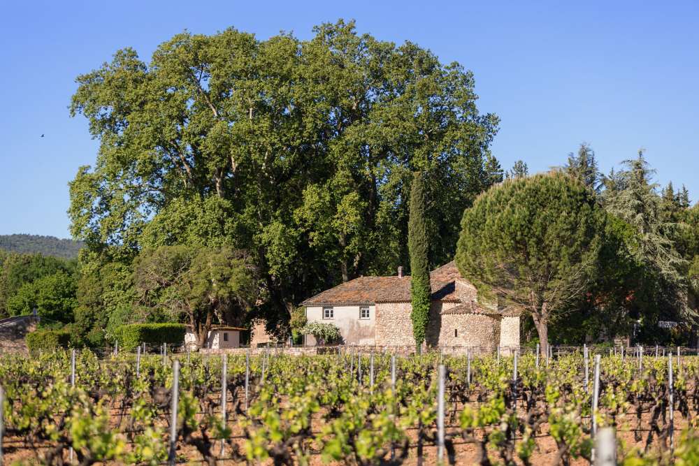 Itinéraire Art & Vin 2025 : Provence Verte Bleu Tomate