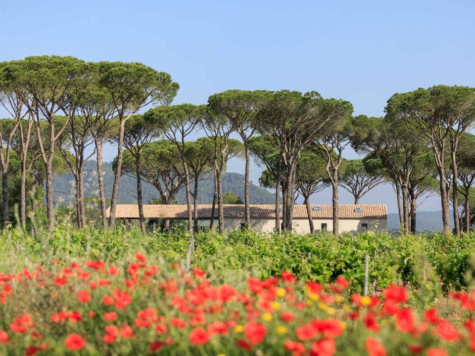 FERAUD DOMAINE