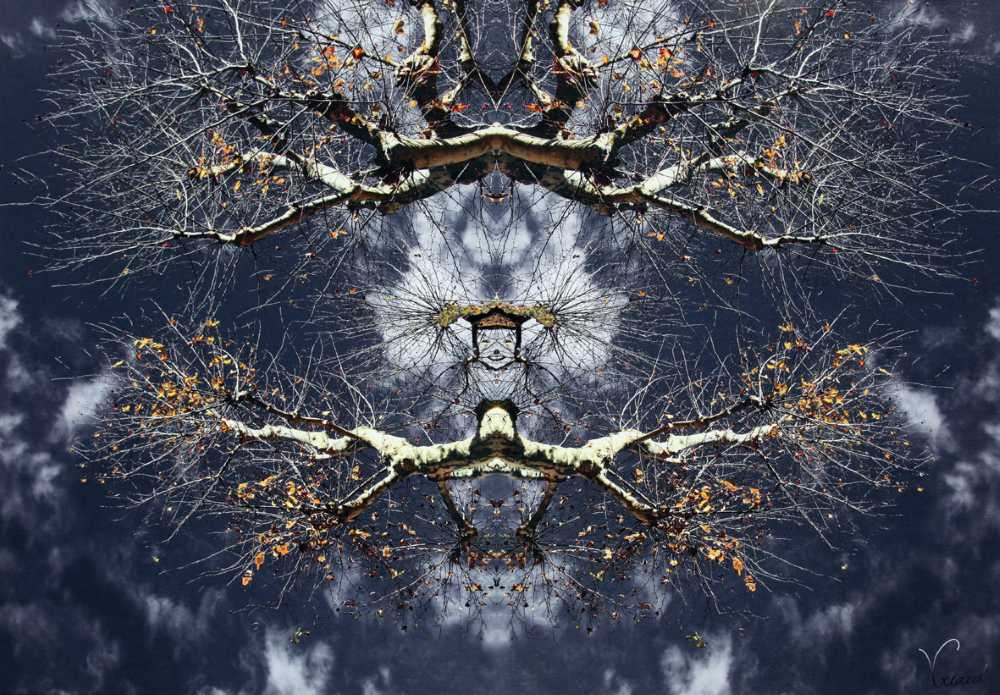 T. ST HILAIRE - GERARD V. - A DOS DOISEAU 80X60