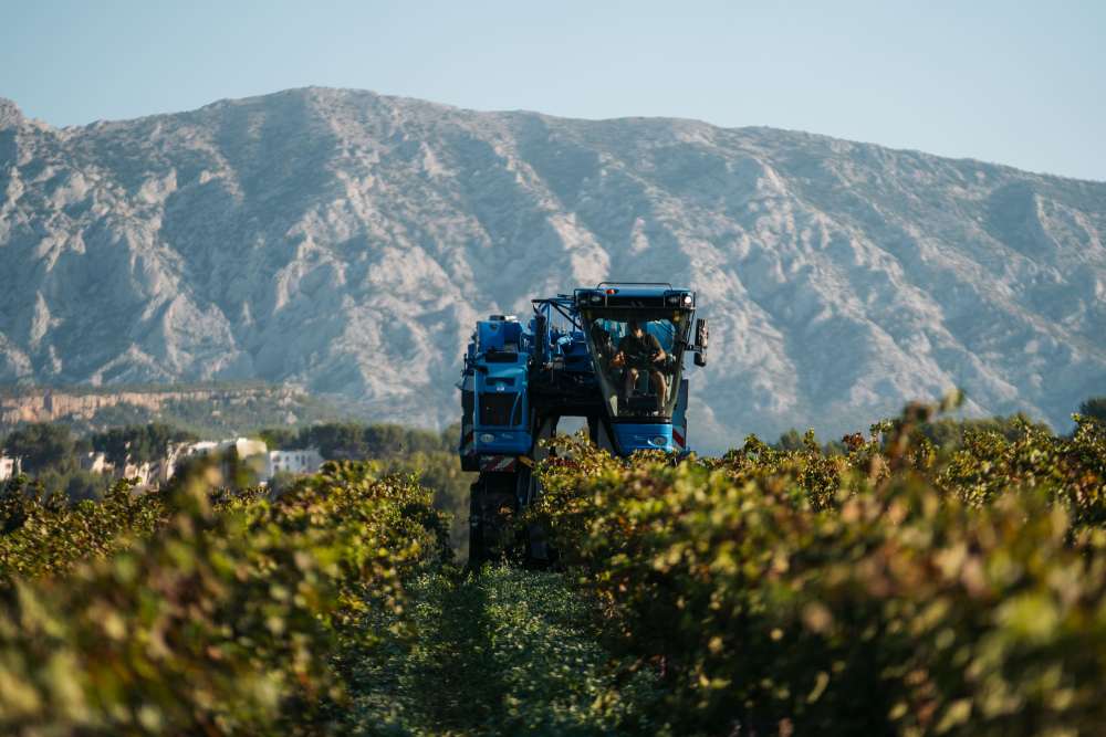TERRE DE LMISTRAL VIGNES