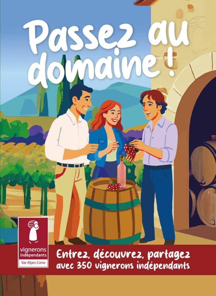 affiche passez au domaine