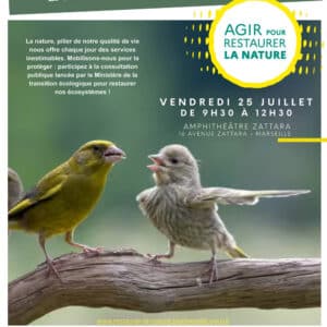 Agir pour restaurer la nature : participer au débat public Bleu Tomate
