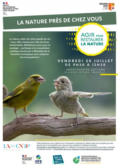 Agir pour restaurer la nature : participer au débat public Bleu Tomate