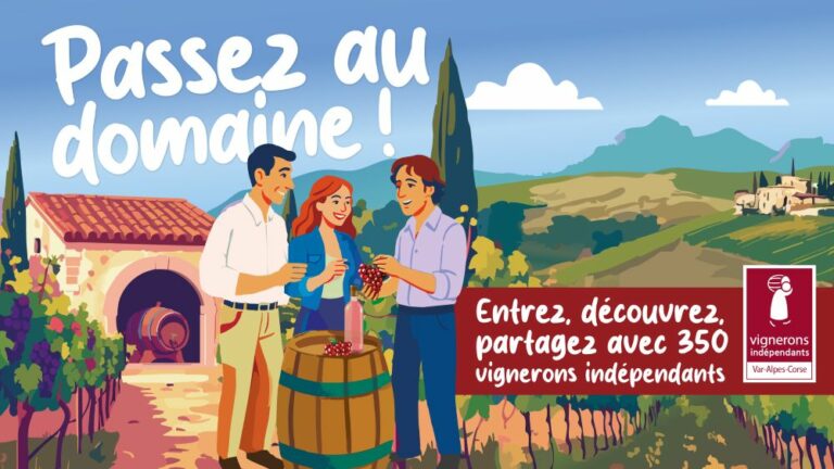 bannière passez au domaine