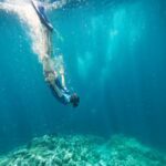 Le littoral méditerranéen à portée de palmes : des sorties nature pour tous Bleu Tomate
