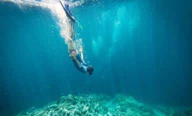 Le littoral méditerranéen à portée de palmes : des sorties nature pour tous Bleu Tomate