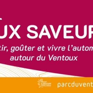 Le 18ème Festival Ventoux Saveurs avec le Parc Naturel Régional du Ventoux Bleu Tomate