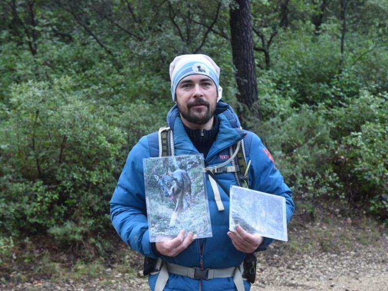 Balade naturaliste sur les traces des loups Bleu Tomate