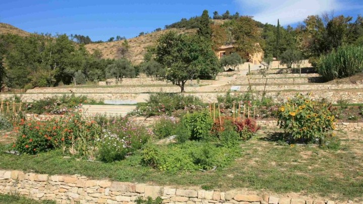 Terrasses de culture domaine de la Thomassine Manosque