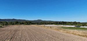 culture plaine de la Durance