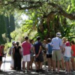 Journée du patrimoine dans le domaine du Rayol