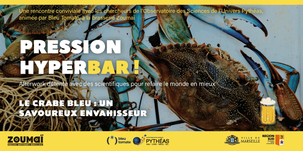 Le crabe bleu envahit la Méditerranée : menace écologique ou opportunité culinaire ? Une soirée-débat explore cette question à Marseille.