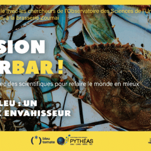 Le crabe bleu envahit la Méditerranée : menace écologique ou opportunité culinaire ? Une soirée-débat explore cette question à Marseille.