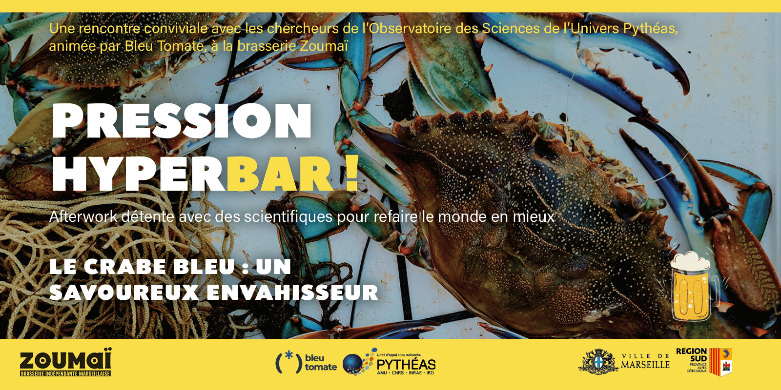 Le crabe bleu envahit la Méditerranée : menace écologique ou opportunité culinaire ? Une soirée-débat explore cette question à Marseille.