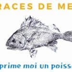 Imprime moi un poisson