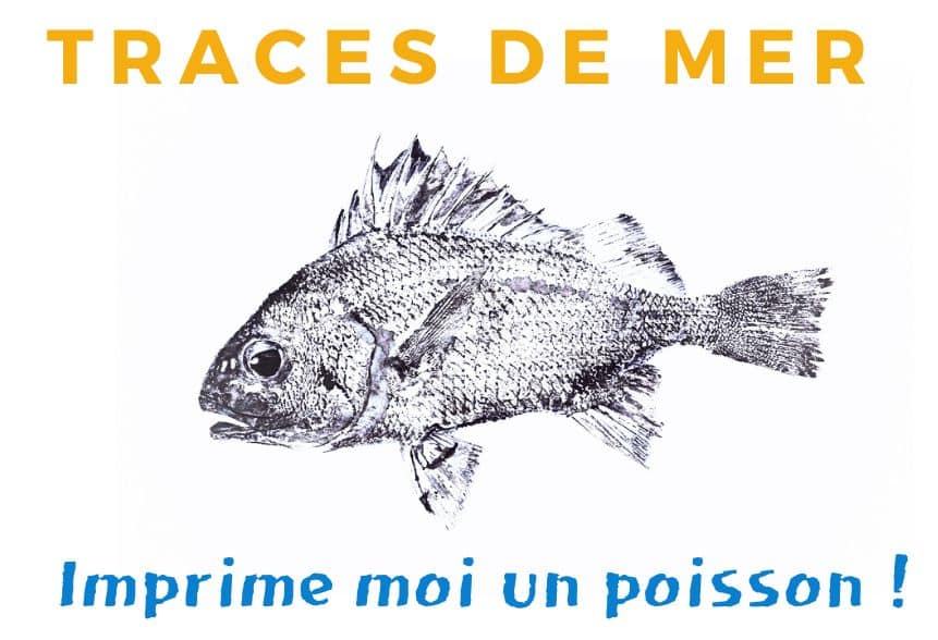 Imprime moi un poisson