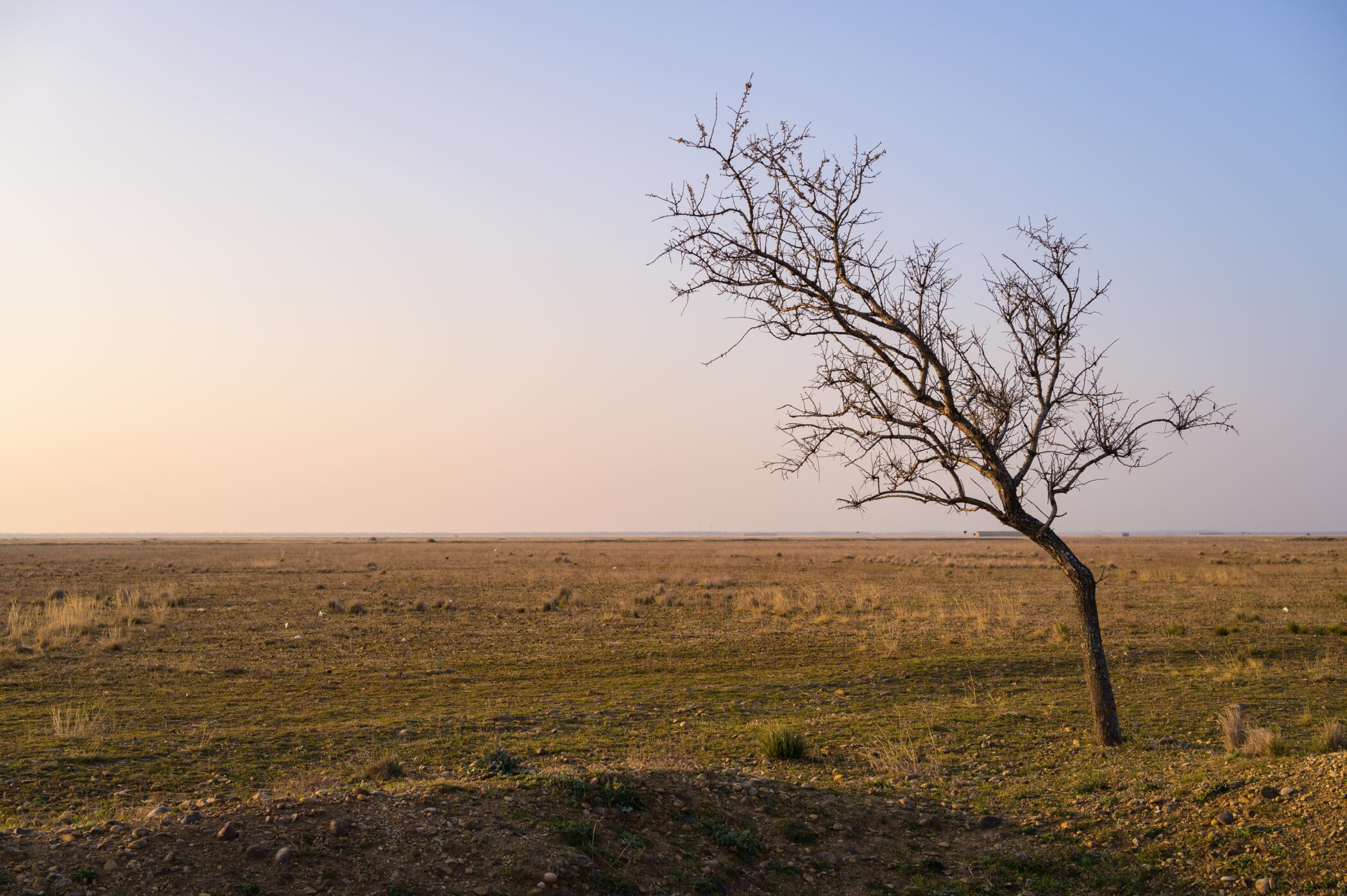 Pollution militaire en Crau : peut-on restaurer cet écosystème remarquable grâce à la nature, sans nuire à sa biodiversité exceptionnelle ?
