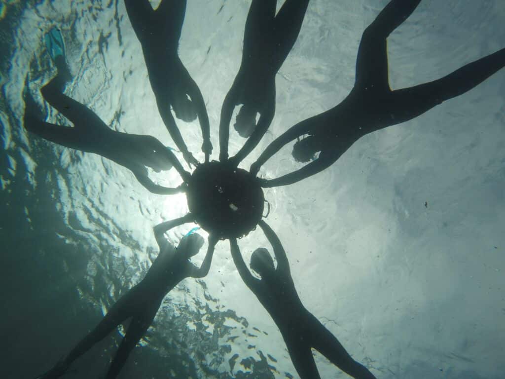 Randonnée palmée guidée à La Ciotat pour découvrir les fonds marins du Mugel. Activité des 6 ans avec matériel fourni par l'Atelier Bleu