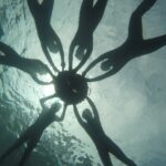 Randonnée palmée guidée à La Ciotat pour découvrir les fonds marins du Mugel. Activité des 6 ans avec matériel fourni par l'Atelier Bleu