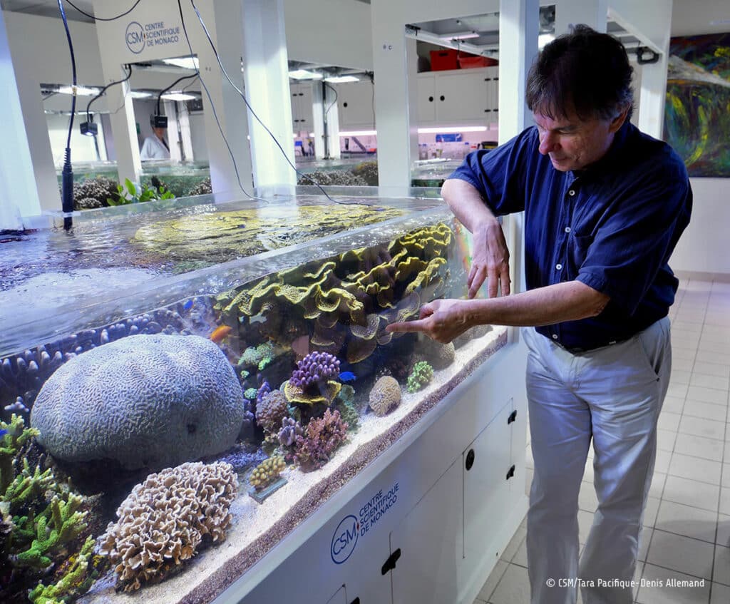 Conférence à Antibes le 11 oct. : découvrez comment la biodiversité marine inspire médecine et innovations avec Denis Allemand. Entrée libre dès 15 ans.