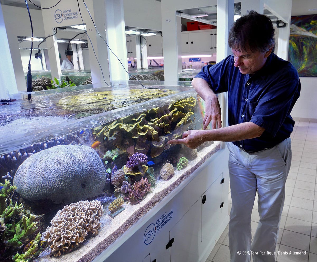 Conférence à Antibes le 11 oct. : découvrez comment la biodiversité marine inspire médecine et innovations avec Denis Allemand. Entrée libre dès 15 ans.