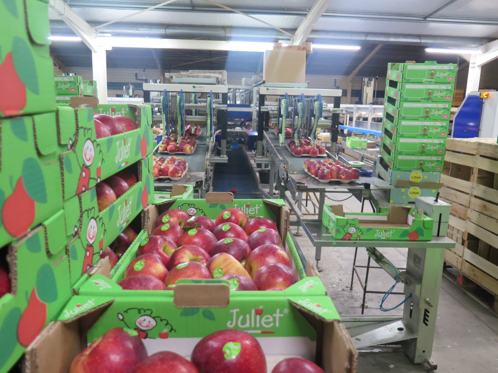 station de conditionnement de pommes Juliet® à Althen-des-Paluds