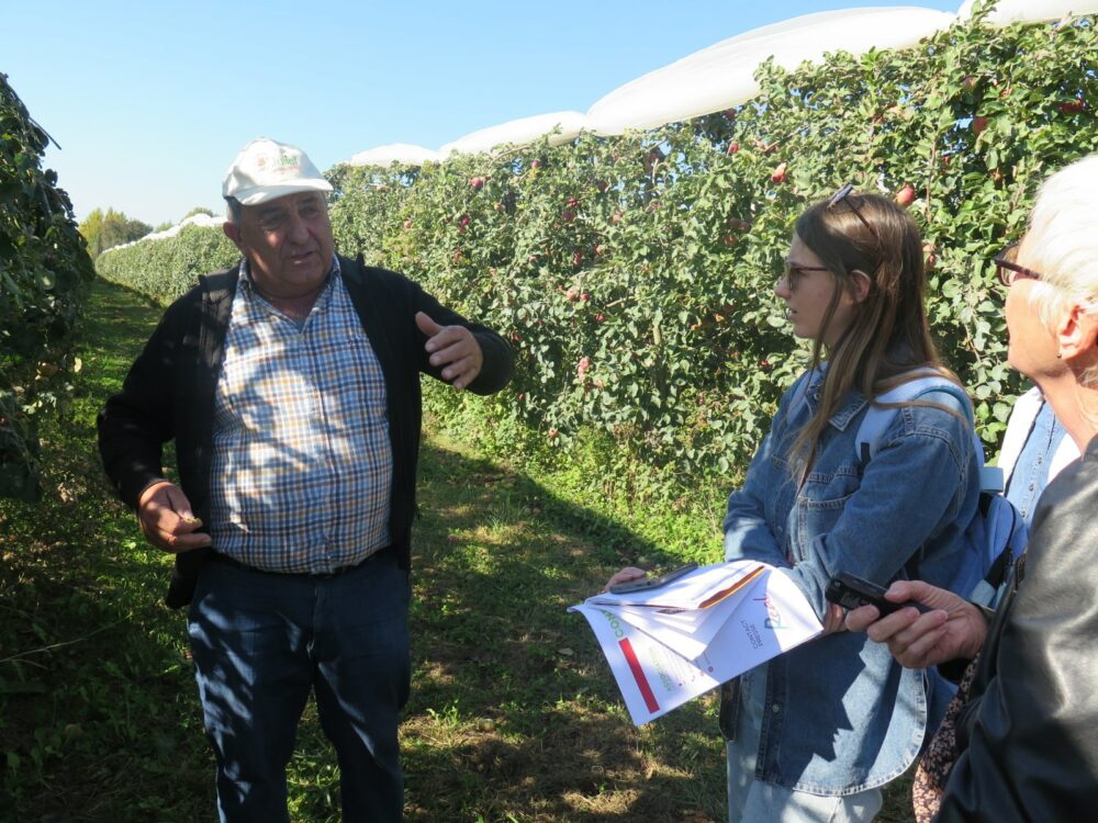 Daniel Carles producteur de pommes Juliet® dans un verger