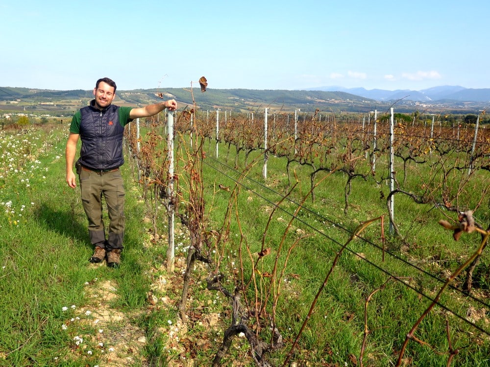 le vignoble de Julien Bertrand à Buisson (84) est travaillé en bio et biodynamie