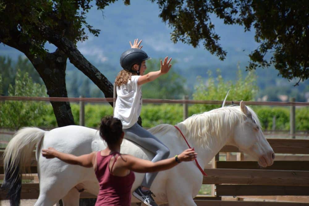 18ème édition du Festival Brin de Culture - Dans le Vaucluse Bleu Tomate