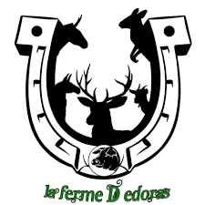 18ème édition du Festival Brin de Culture - Dans le Var Bleu Tomate