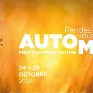Les rendez vous d'automne du Festival de Camargue Bleu Tomate