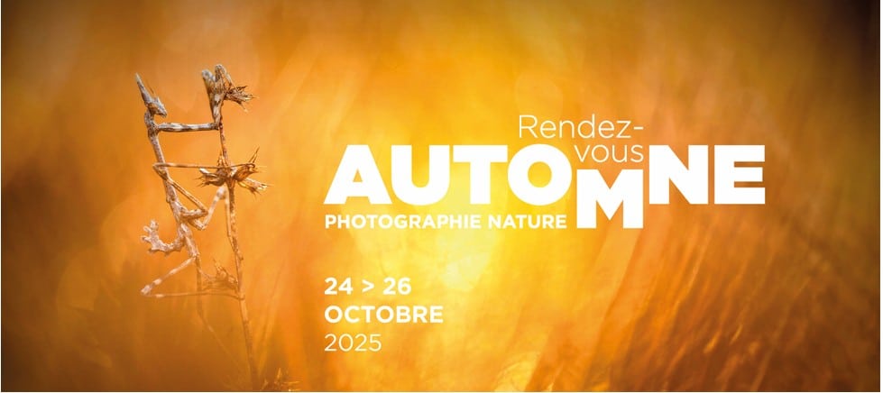 Les rendez vous d'automne du Festival de Camargue Bleu Tomate