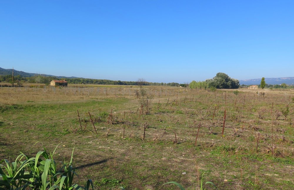 friche asséchée en plaine de Durance