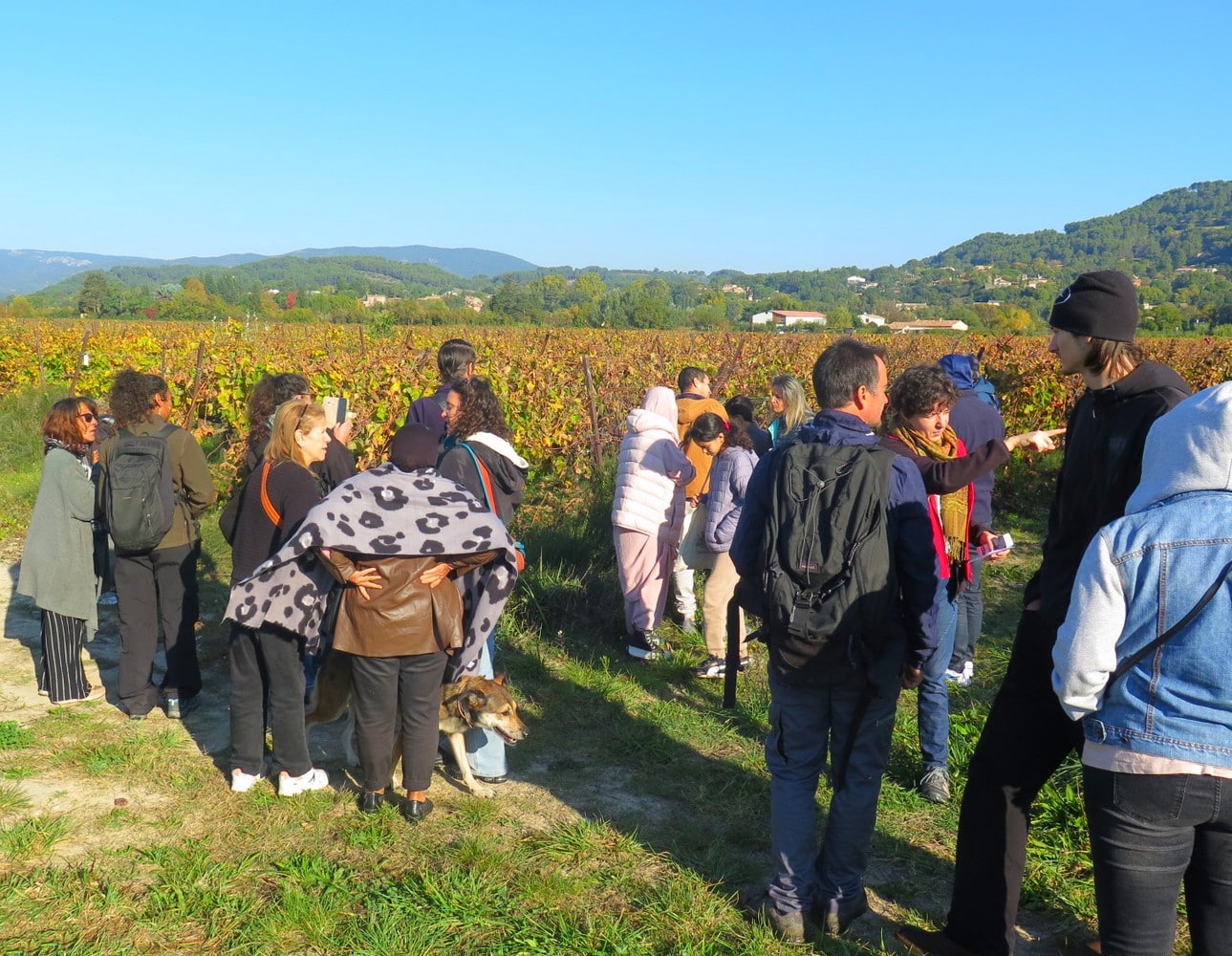 sortie buissonnière avec le PNR Luberon en plaine de Durance