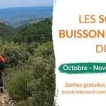 Balades gratuites et guidées en Luberon cet automne : nature, patrimoine et paysages au fil de sorties adaptées à tous les niveaux.
