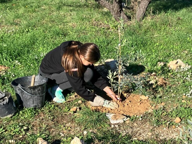 La Laiterie Marseillaise, fromagerie urbaine, bio et responsable Bleu Tomate Grands et petits s'attachent très consciencieusement à suivre les consignes @ PC