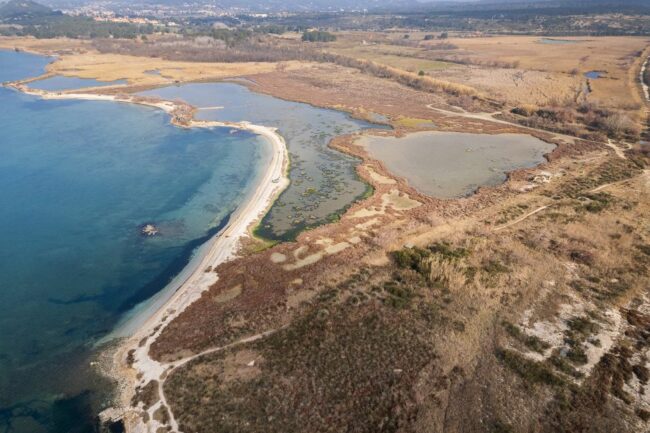 À 50 ans, le Conservatoire des Espaces Naturels PACA porte toujours la voix du vivant Bleu Tomate