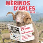 Les 5ème rencontres du mérinos d'Arles Bleu Tomate