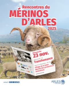 Les 5ème rencontres du mérinos d'Arles Bleu Tomate