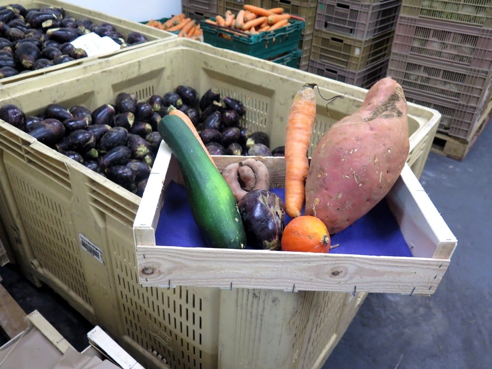 Des légumes non calibrés que les agriculteurs ne peuvent pas toujours vendre ©JB