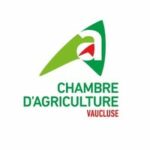 Le WE gastronomique d'Avignon fête ses 20 ans Bleu Tomate