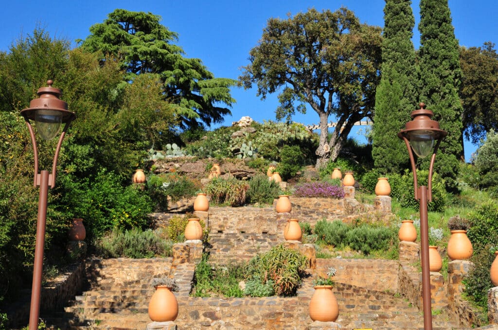 Une balade guidée au Domaine du Rayol pour découvrir, au fil des saisons, les secrets, formes et parfums des plantes méditerranéennes.